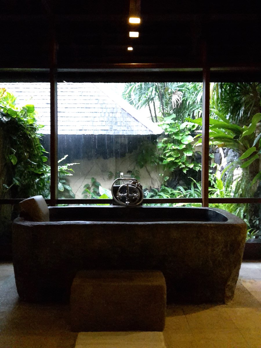 stone bathtub with atrium view