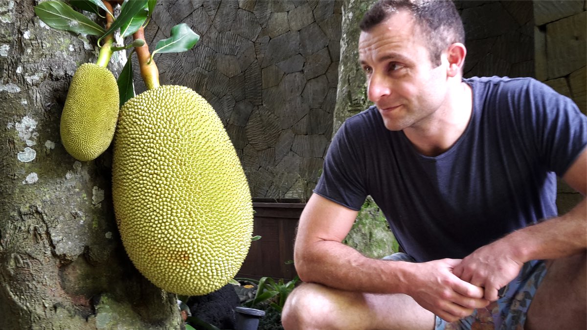 large jackfruit