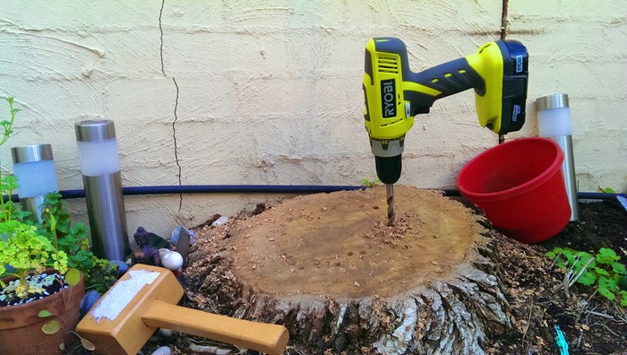 my drill stuck in the stump, c. 2014