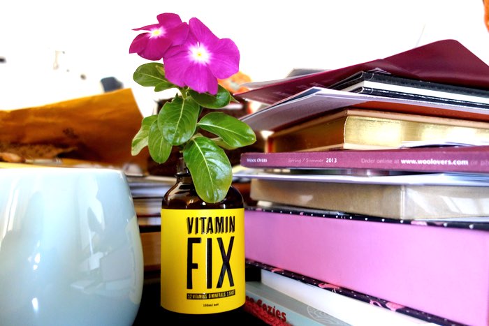 Vinca bloom in a bottle vase, 7 Dec 2014.