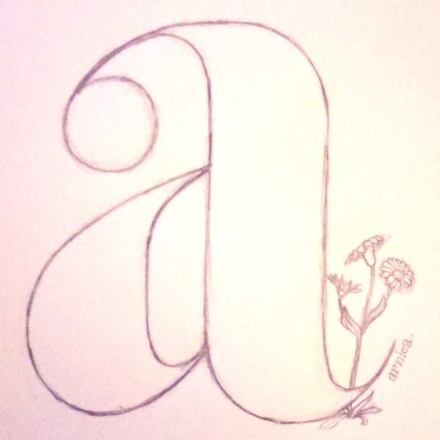 Alphabotanicals: A for Arnica
