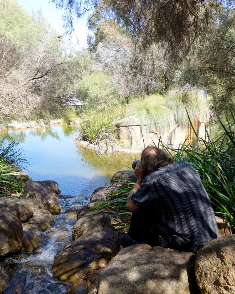 photographer taking a photo