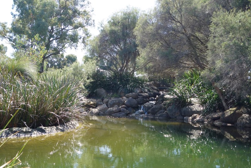 large artificial pond and stream