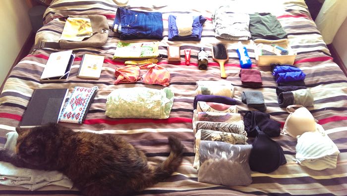 cats are good at helping you pack