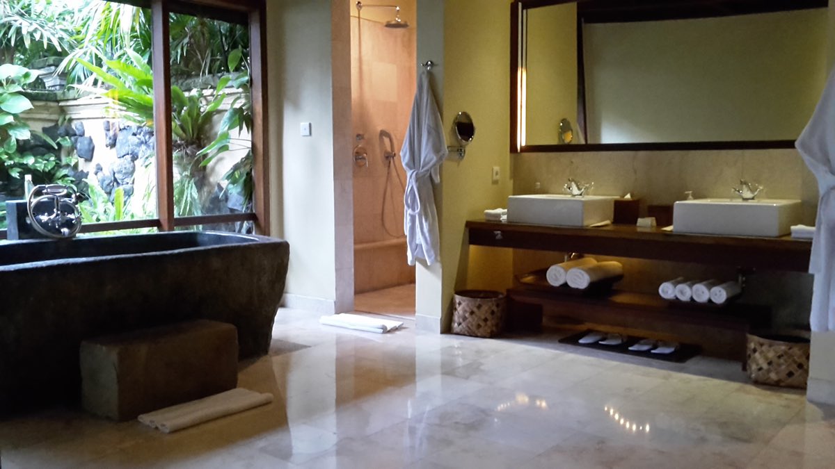 bathroom with stone bathtub and atrium