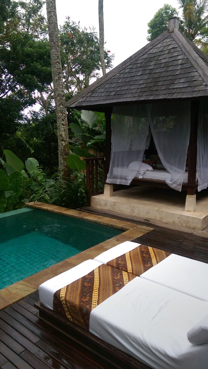 small personal pool with deck chairs and a daybed