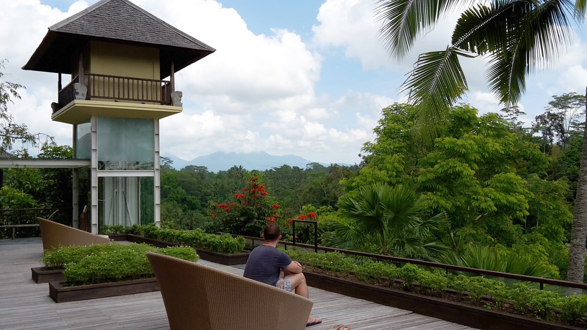 restaurant bar level view of mountain over the jungle canopy